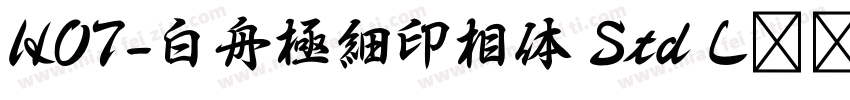 HOT-白舟極細印相体 Std L转换器字体转换